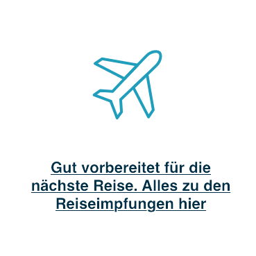 Icon Flugzeug